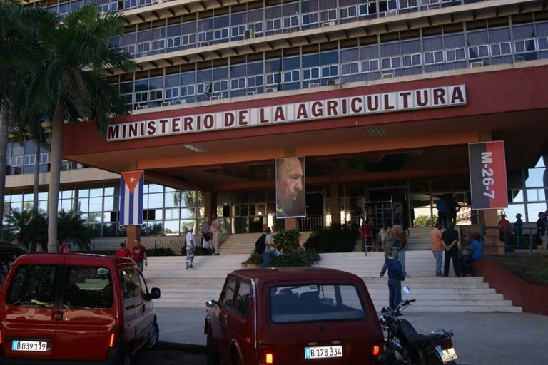 ministerio-de-la-agricultura-768x512.jpg